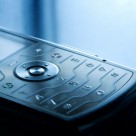 Could Cell Phones Be Killing the Honey Bee? Could Cell Phones Be Killing the Honey Bee?