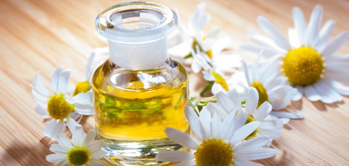 chamomile oil