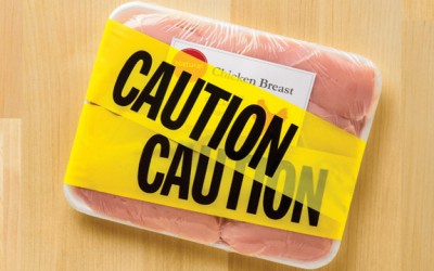 harmful chicken