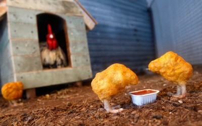 chicken nuggets