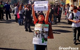 Chile Monsanto