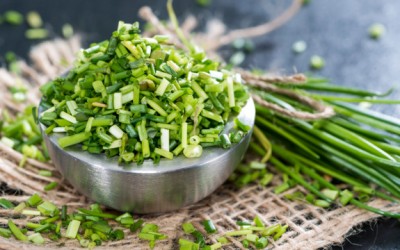 chives