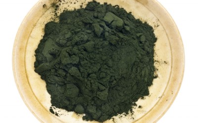 chlorella.