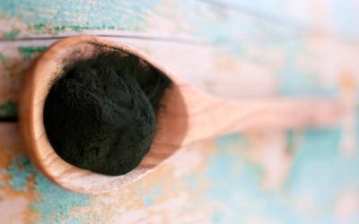 chlorella powder