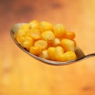 Top 10 Worst GMO Foods for Your GMO Foods List Top 10 Worst GMO Foods for Your GMO Foods List