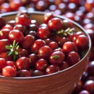Cranberries Effective Against Urinary Tract Infections Cranberries Effective Against Urinary Tract Infections
