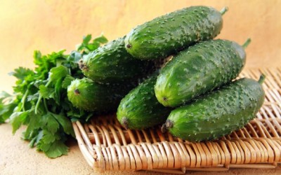 pickling cucumbers