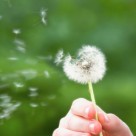 3 Simple, Natural Ways for Detoxing Your Body 3 Simple, Natural Ways for Detoxing Your Body