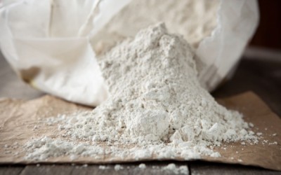 diatomaceous earth