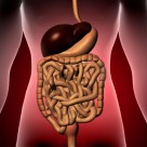 10% of U.S. Teens Have Liver Disease…Why? 10% of U.S. Teens Have Liver Disease…Why?