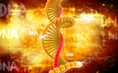 DNA