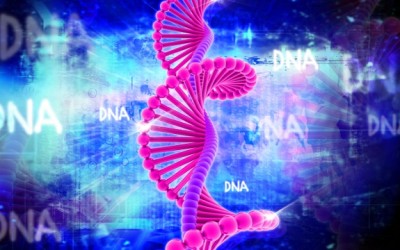 dna strand