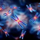We Are All Mutants: First Direct Whole-Genome Measure of Human Mutation Predicts 60 New Mutations in Each of Us We Are All Mutants: First Direct Whole-Genome Measure of Human Mutation Predicts 60 New Mutations in Each of Us