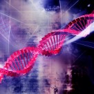 Fruits and Vegetables Trump Genetics in Cardiovascular Disease Risk Fruits and Vegetables Trump Genetics in Cardiovascular Disease Risk