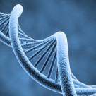 Flashback: The Genetically Modified Rice Made with Human Genes Flashback: The Genetically Modified Rice Made with Human Genes