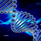 Monsanto’s Roundup is Causing DNA Damage Monsanto’s Roundup is Causing DNA Damage