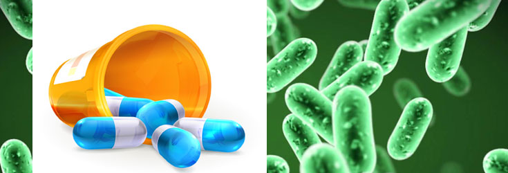 doctors-bacteria-probiotics-antibiotics