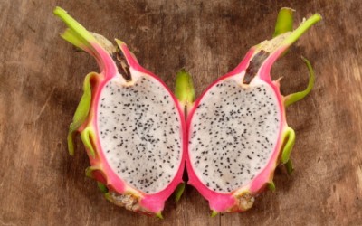 dragon fruit