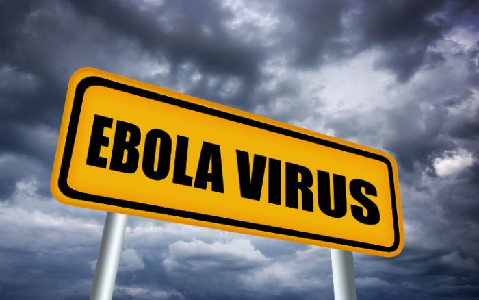 Ebola virus