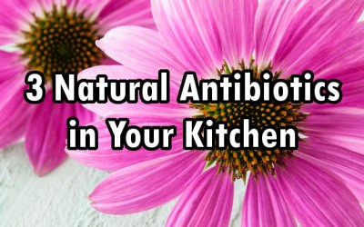 echinacea