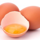 Does a High Protein Diet Help You Lose Weight? Does a High Protein Diet Help You Lose Weight?