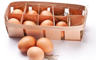 eggs