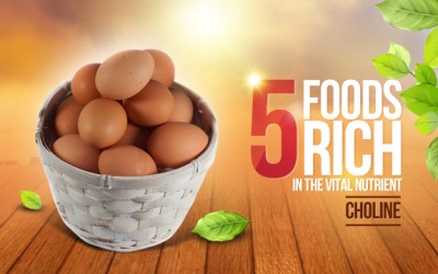 eggs choline