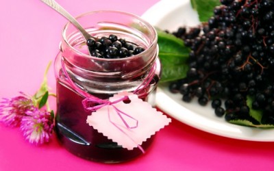 black elderberry
