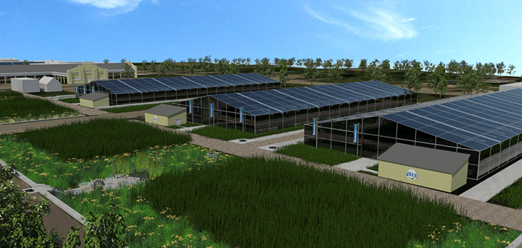 farm-urban-detroit-735-350