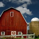 Monsanto’s GMO Seeds Contributing to Farmer Suicides Every 30 Minutes Monsanto’s GMO Seeds Contributing to Farmer Suicides Every 30 Minutes