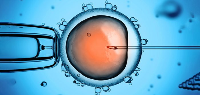 ivf