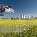 canola pesticides