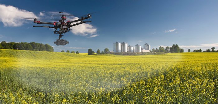 canola pesticides