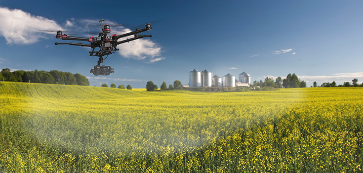 canola pesticides