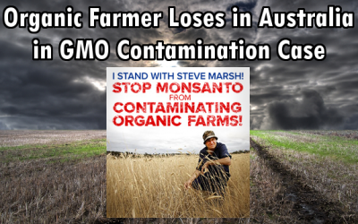 Steve Marsh GMO contamination