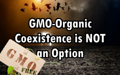gmo organic coexistence