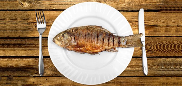 fish