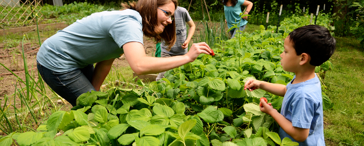 food_GardenGrant11_710_285