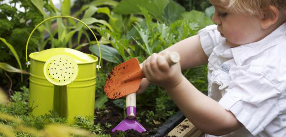 food_Grow-_kid_Flowers_scale