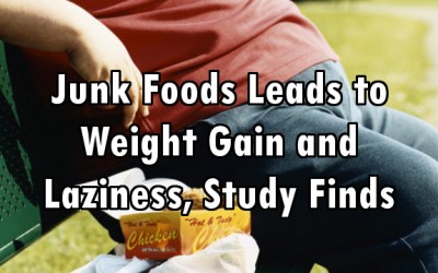 junk food