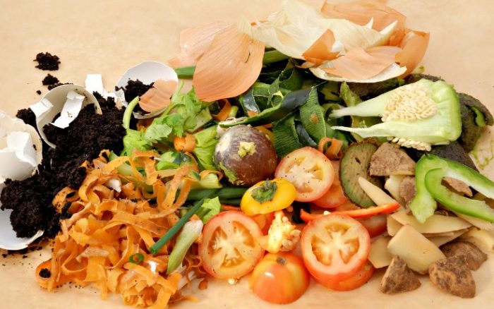 food scraps