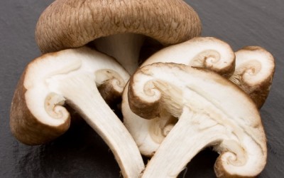 shiitake mushrooms