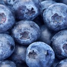 Blueberries Found to Help Build Stronger Bones Blueberries Found to Help Build Stronger Bones