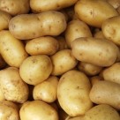 Ireland Allows Iconic Potato to be Genetically Modified Ireland Allows Iconic Potato to be Genetically Modified