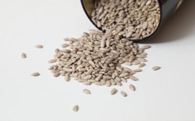 sunflower seeds