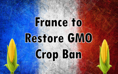France gmo ban