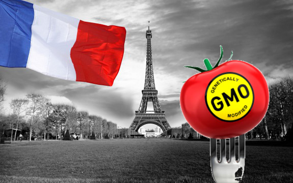 GMO France