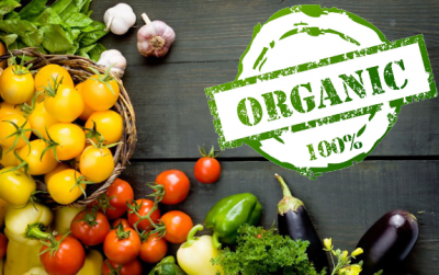 Картинки по запросу organic food