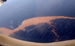 fukushima-debris