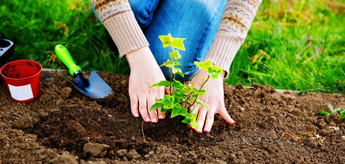 gardening